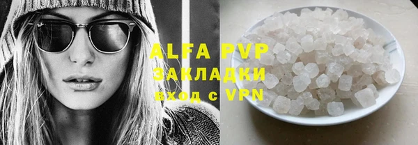 индика Елабуга