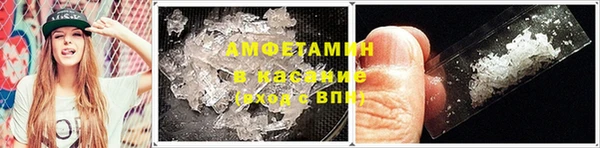 индика Елабуга