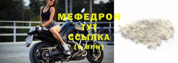 индика Елабуга