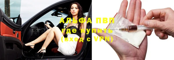 мет Ельня