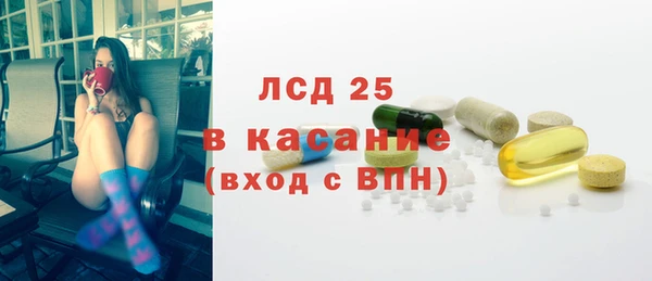индика Елабуга