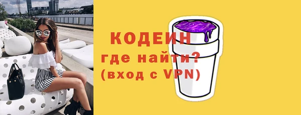 мет Ельня