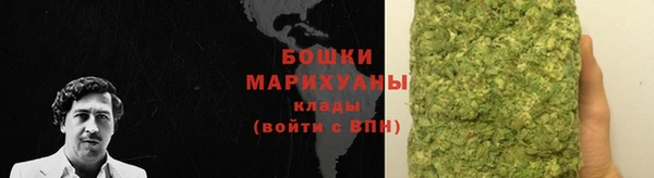 индика Елабуга