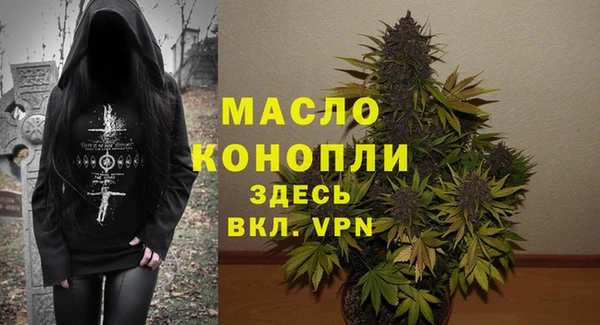индика Елабуга