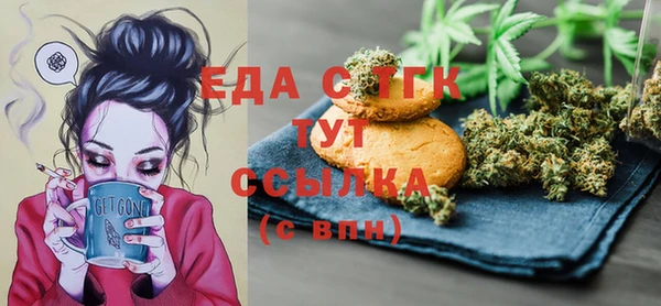 индика Елабуга
