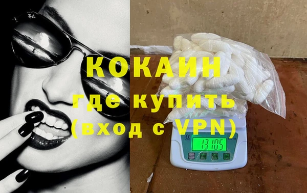 индика Елабуга
