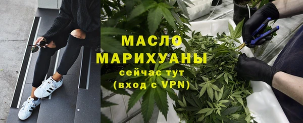 мет Ельня