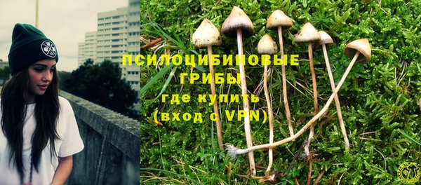 дурь Елизово
