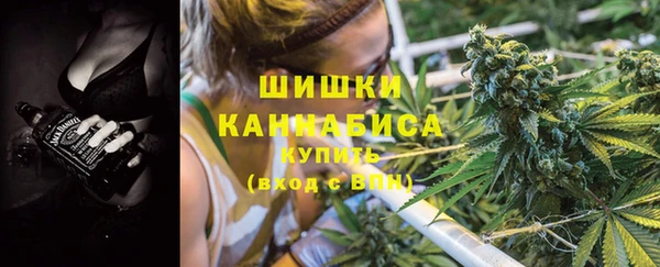 мет Ельня