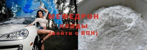 индика Елабуга