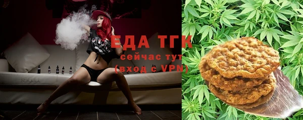 индика Елабуга