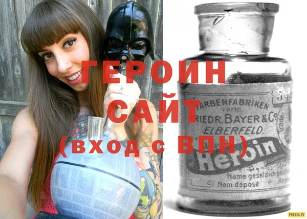 индика Елабуга
