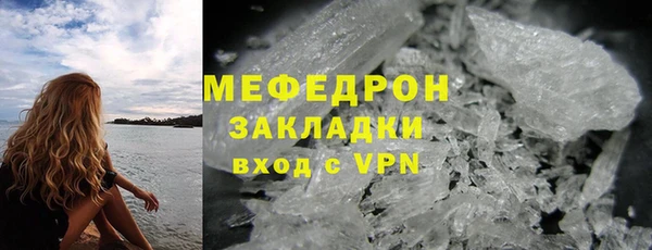 индика Елабуга