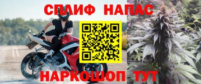 мдпв Владикавказ