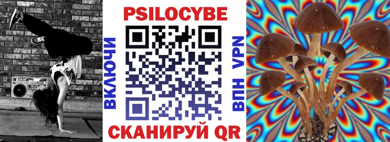 Псилоцибиновые грибы Cubensis Купить где Раменское
