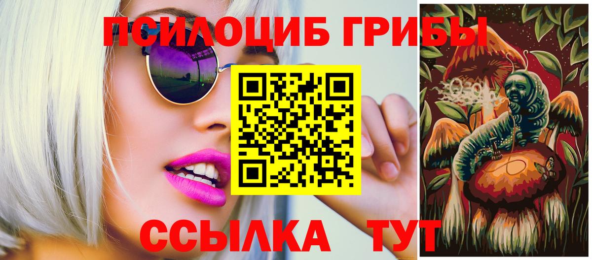 Псилоцибиновые грибы Psilocybe Раменское