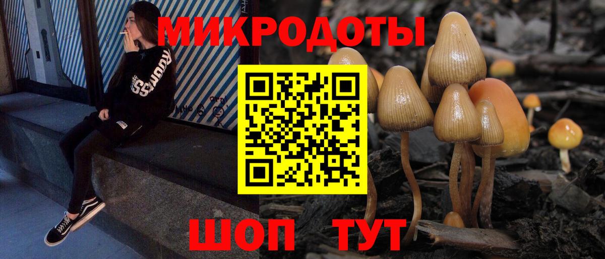 Раменское  как найти   Вход с VPN  Галлюциногенные грибы мухоморы 