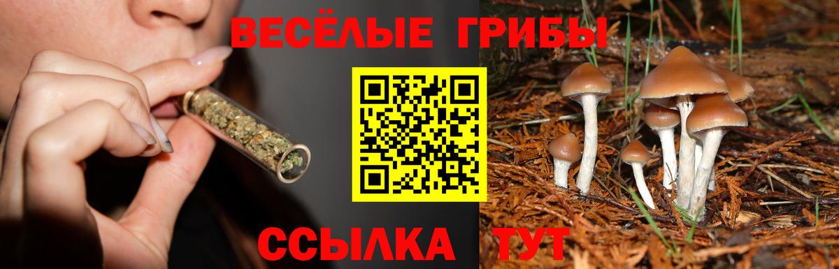 Галлюциногенные грибы Psilocybine cubensis Раменское